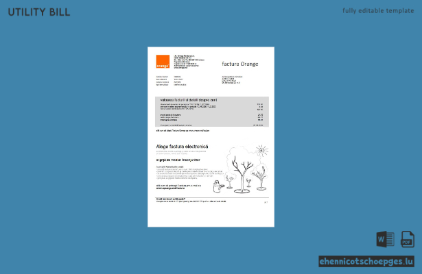 Beispielrechnung der Orange Factura aus Moldawien